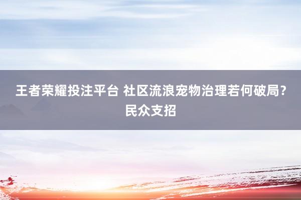 王者荣耀投注平台 社区流浪宠物治理若何破局？民众支招