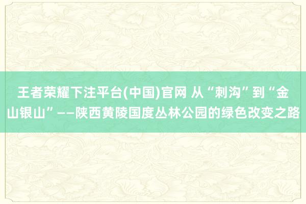 王者荣耀下注平台(中国)官网 从“刺沟”到“金山银山”——陕西黄陵国度丛林公园的绿色改变之路