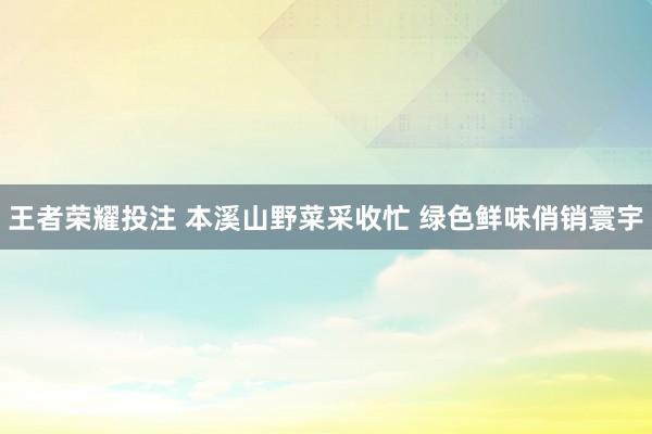 王者荣耀投注 本溪山野菜采收忙 绿色鲜味俏销寰宇