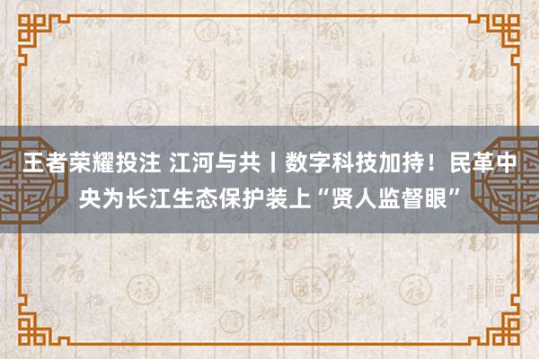 王者荣耀投注 江河与共丨数字科技加持！民革中央为长江生态保护装上“贤人监督眼”