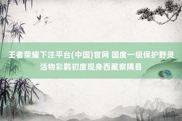 王者荣耀下注平台(中国)官网 国度一级保护野灵活物彩鹮初度现身西藏察隅县