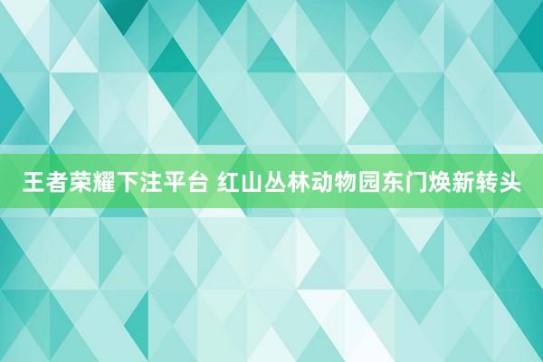 王者荣耀下注平台 红山丛林动物园东门焕新转头