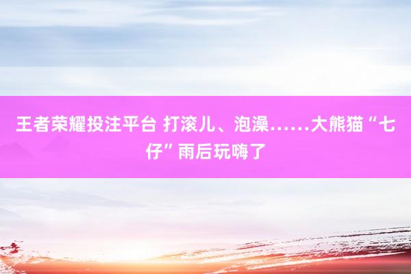 王者荣耀投注平台 打滚儿、泡澡……大熊猫“七仔”雨后玩嗨了