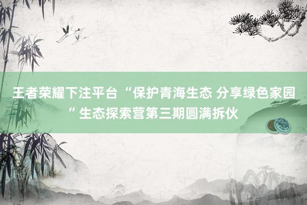 王者荣耀下注平台 “保护青海生态 分享绿色家园”生态探索营第三期圆满拆伙