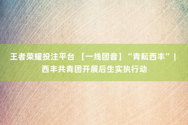 王者荣耀投注平台 【一线团音】“青耘西丰” | 西丰共青团开展后生实执行动
