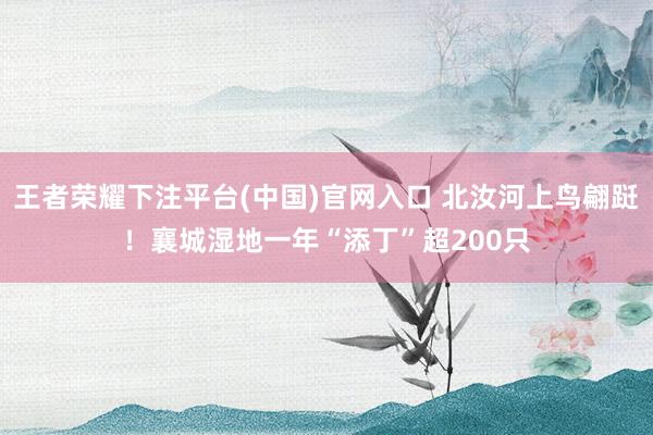 王者荣耀下注平台(中国)官网入口 北汝河上鸟翩跹！襄城湿地一年“添丁”超200只