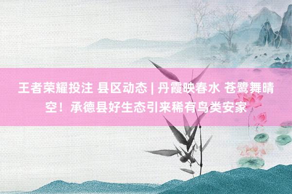 王者荣耀投注 县区动态 | 丹霞映春水 苍鹭舞晴空！承德县好生态引来稀有鸟类安家