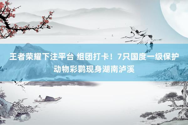 王者荣耀下注平台 组团打卡！7只国度一级保护动物彩鹮现身湖南泸溪