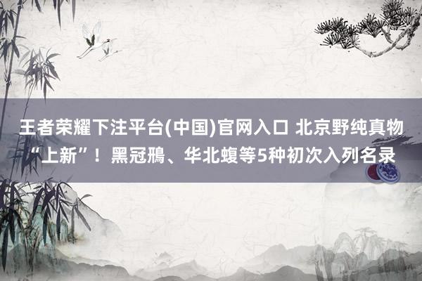 王者荣耀下注平台(中国)官网入口 北京野纯真物“上新”！黑冠鳽、华北蝮等5种初次入列名录