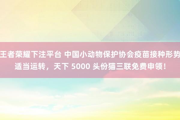 王者荣耀下注平台 中国小动物保护协会疫苗接种形势适当运转，天下 5000 头份猫三联免费申领！