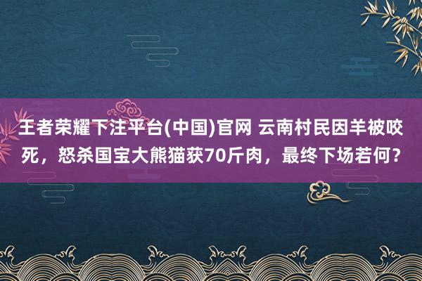 王者荣耀下注平台(中国)官网 云南村民因羊被咬死，怒杀国宝大熊猫获70斤肉，最终下场若何？