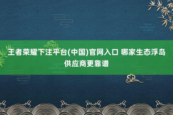 王者荣耀下注平台(中国)官网入口 哪家生态浮岛供应商更靠谱