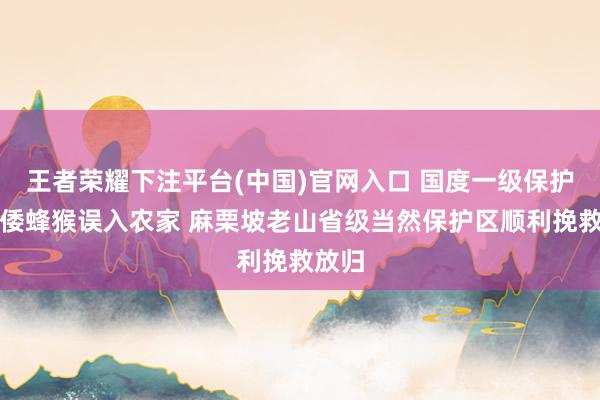 王者荣耀下注平台(中国)官网入口 国度一级保护动物倭蜂猴误入农家 麻栗坡老山省级当然保护区顺利挽救放归