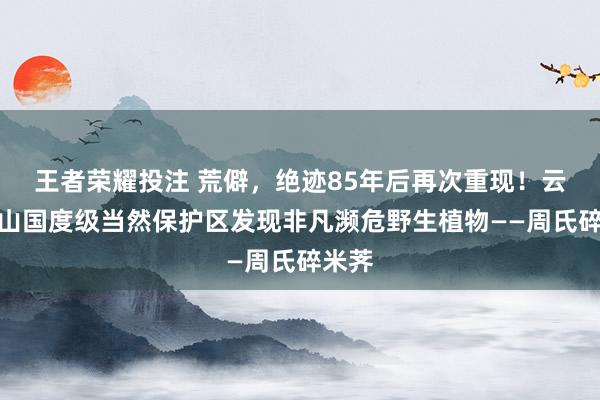 王者荣耀投注 荒僻，绝迹85年后再次重现！云南文山国度级当然保护区发现非凡濒危野生植物——周氏碎米荠