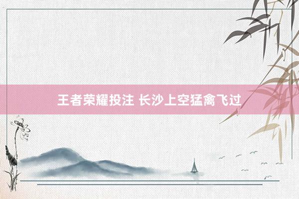王者荣耀投注 长沙上空猛禽飞过