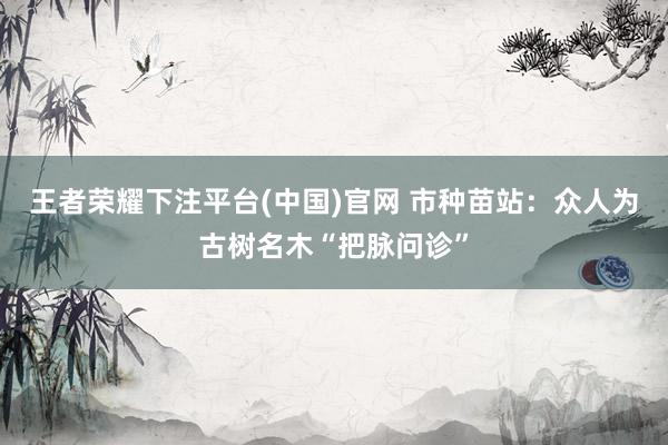 王者荣耀下注平台(中国)官网 市种苗站：众人为古树名木“把脉问诊”