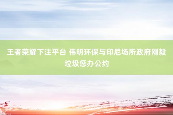 王者荣耀下注平台 伟明环保与印尼场所政府刚毅垃圾惩办公约