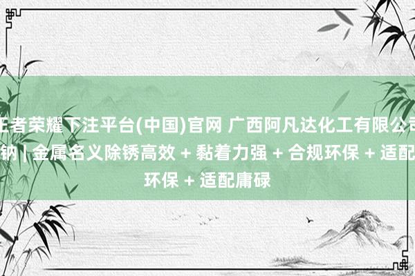 王者荣耀下注平台(中国)官网 广西阿凡达化工有限公司硝酸钠 | 金属名义除锈高效 + 黏着力强 + 合规环保 + 适配庸碌