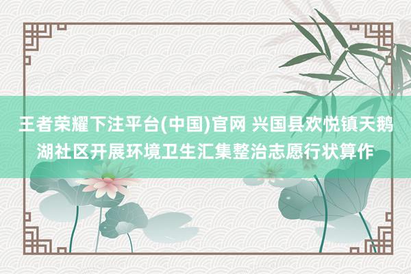 王者荣耀下注平台(中国)官网 兴国县欢悦镇天鹅湖社区开展环境卫生汇集整治志愿行状算作