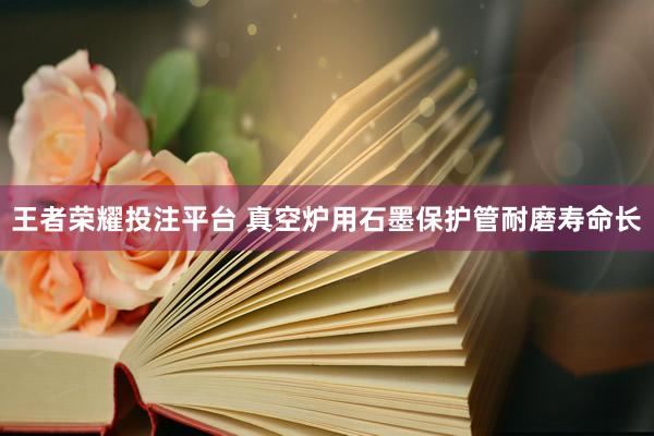 王者荣耀投注平台 真空炉用石墨保护管耐磨寿命长