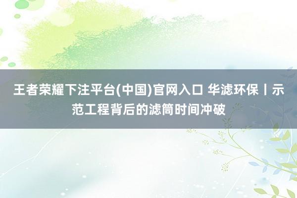 王者荣耀下注平台(中国)官网入口 华滤环保丨示范工程背后的滤筒时间冲破