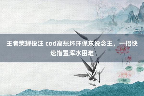 王者荣耀投注 cod高愁坏环保东说念主，一招快速措置浑水困难
