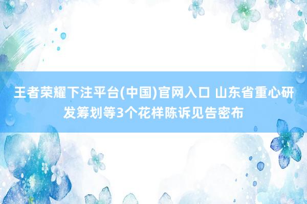 王者荣耀下注平台(中国)官网入口 山东省重心研发筹划等3个花样陈诉见告密布