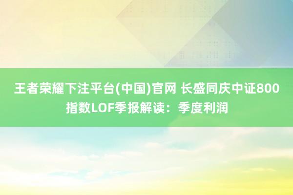 王者荣耀下注平台(中国)官网 长盛同庆中证800指数LOF季报解读：季度利润