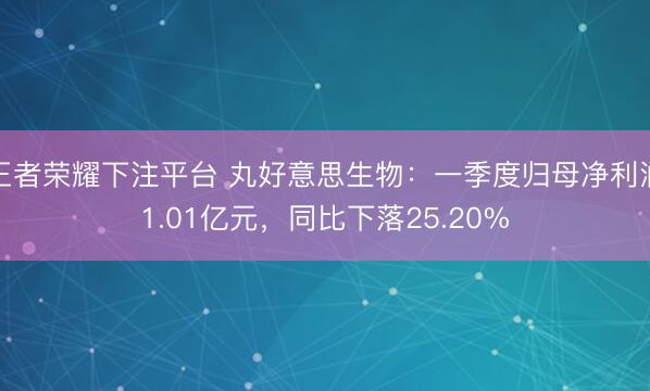 王者荣耀下注平台 丸好意思生物：一季度归母净利润1.01亿元，同比下落25.20%
