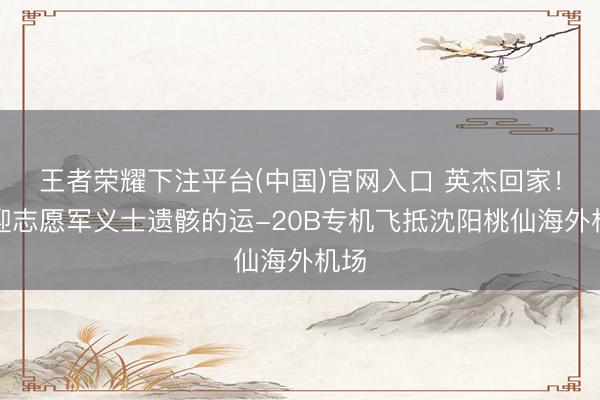 王者荣耀下注平台(中国)官网入口 英杰回家！接迎志愿军义士遗骸的运-20B专机飞抵沈阳桃仙海外机场