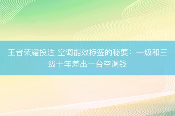 王者荣耀投注 空调能效标签的秘要：一级和三级十年差出一台空调钱