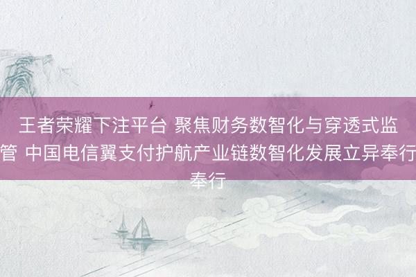 王者荣耀下注平台 聚焦财务数智化与穿透式监管 中国电信翼支付护航产业链数智化发展立异奉行