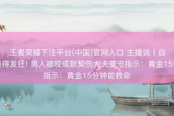 王者荣耀下注平台(中国)官网入口 主播说丨自家宠物猫倏得发狂! 男人被咬成默契伤大夫蹙迫指示：黄金15分钟能救命